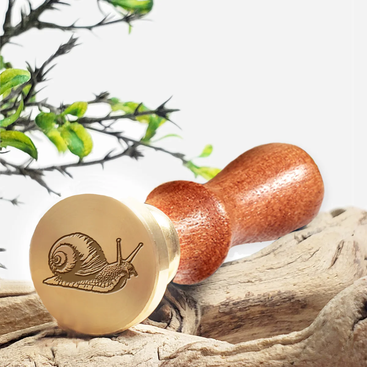 Snail Wax Seal Stamp #3623 -USA Handcrafted
